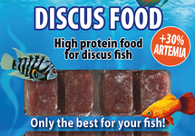 DISCUSFOOD 30% ARTEMIA BLISTER 100 GR.NL