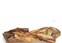 Dry almond leaves (20 pcs)