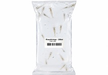 River shrimps 250ml (8-10 Stück) - LV