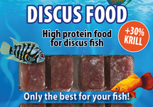 DISCUSFOOD 30% KRIL BLISTER 100 GR. NL