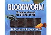 RED BLOODWORM BLISTER 100 GR., 24 CUBES