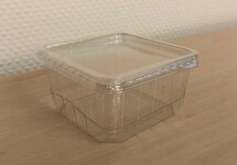 PERFORATED INSECT BOX/LID 50 PCS.