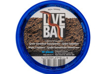 VERS DE TERRE LUMBRICUS (10 PCS)